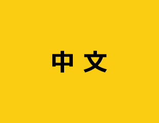 中文